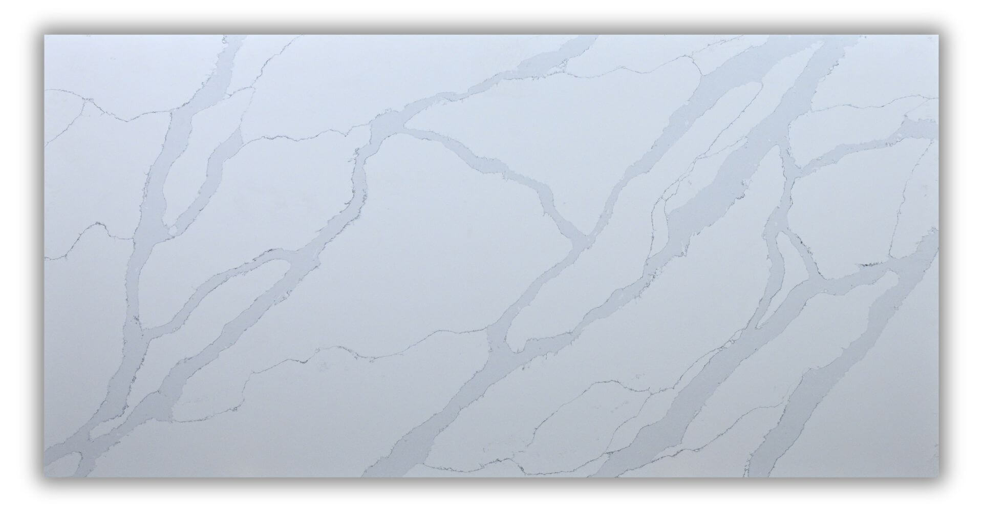 CALACATTA RHINO Quartz Slab