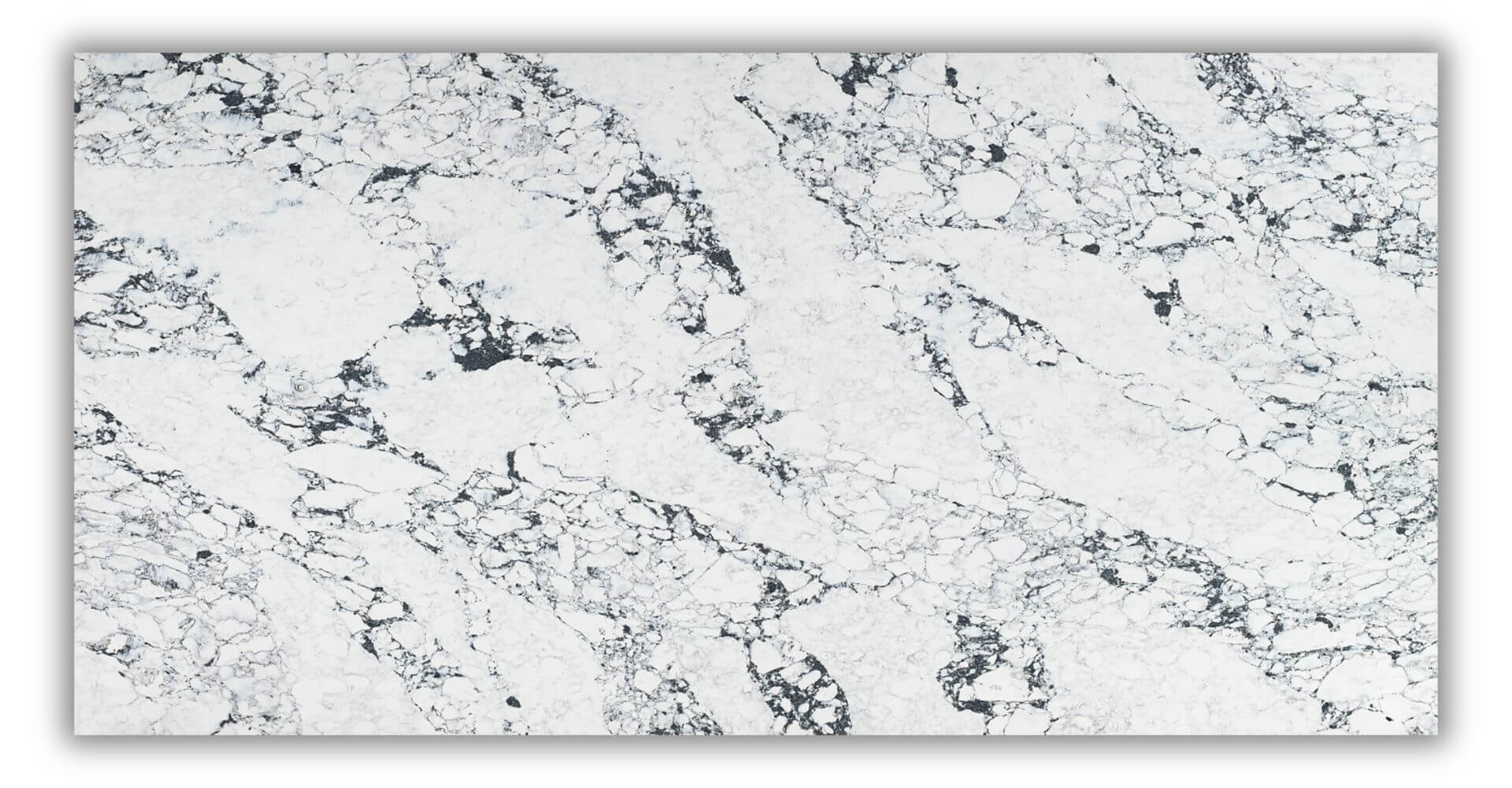 Calacatta Arabascato Quartz Slab