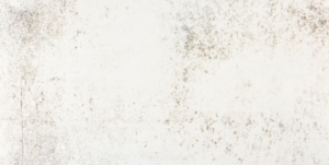 Nilium22 Kc Dekton ® 2cm Nilium22 Kc Dekton ® 2cm