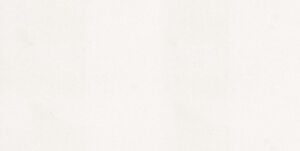 White Zeus White Zeus